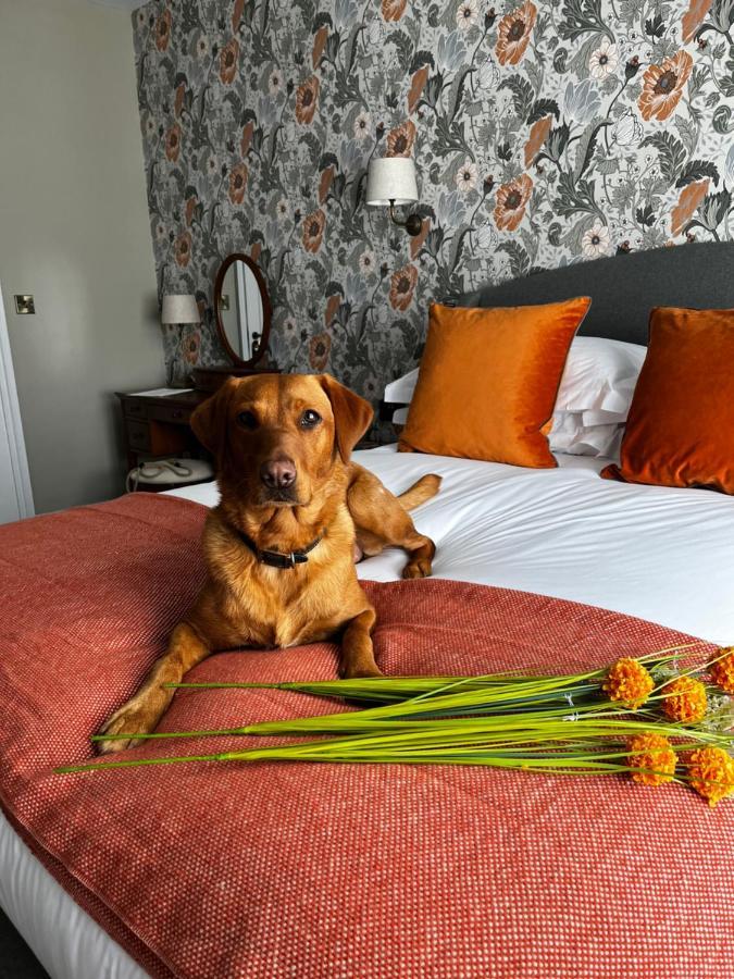 The Crown Pub And Hotel Manningtree エクステリア 写真